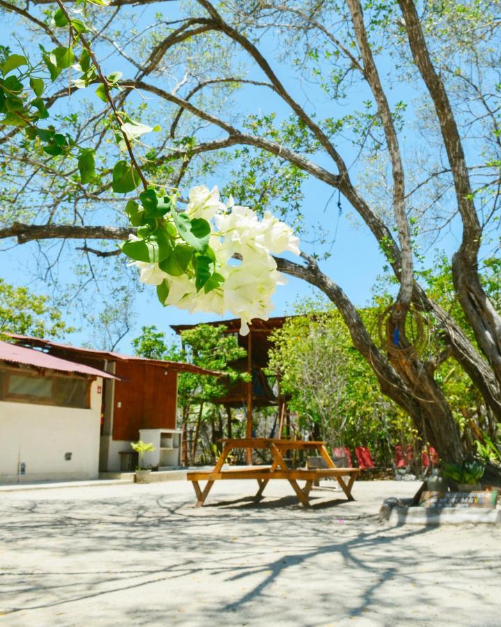 Skycamp Camping Holbox 外观 照片