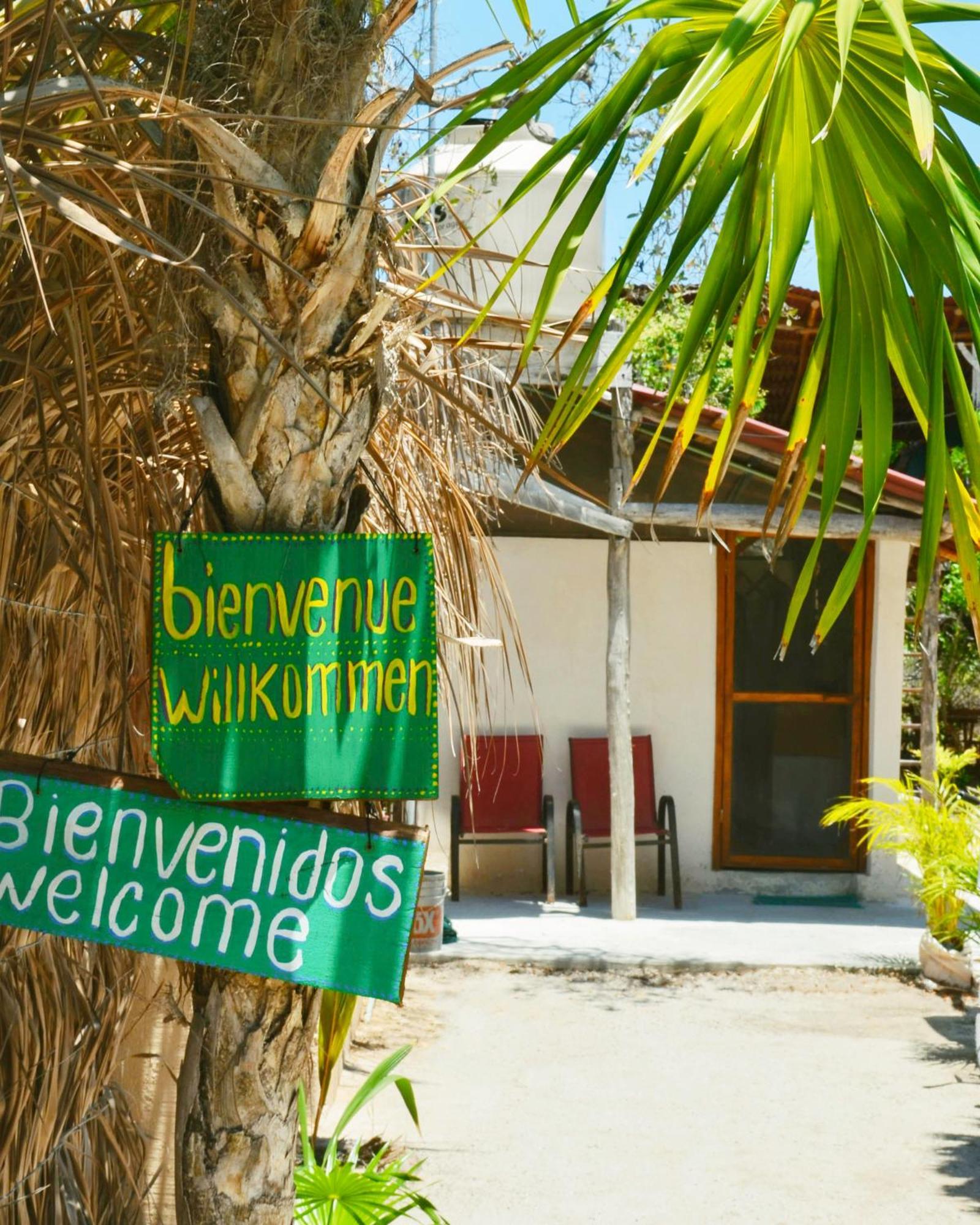 Skycamp Camping Holbox 外观 照片